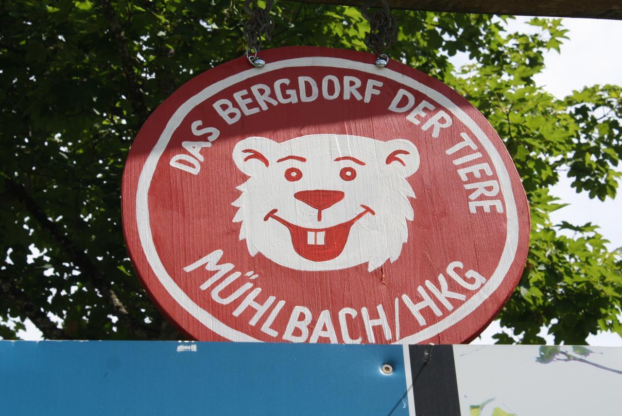 Ferienwohnung Mühlbach Alpendomizil II Mühlbach am Hochkönig Exterior foto